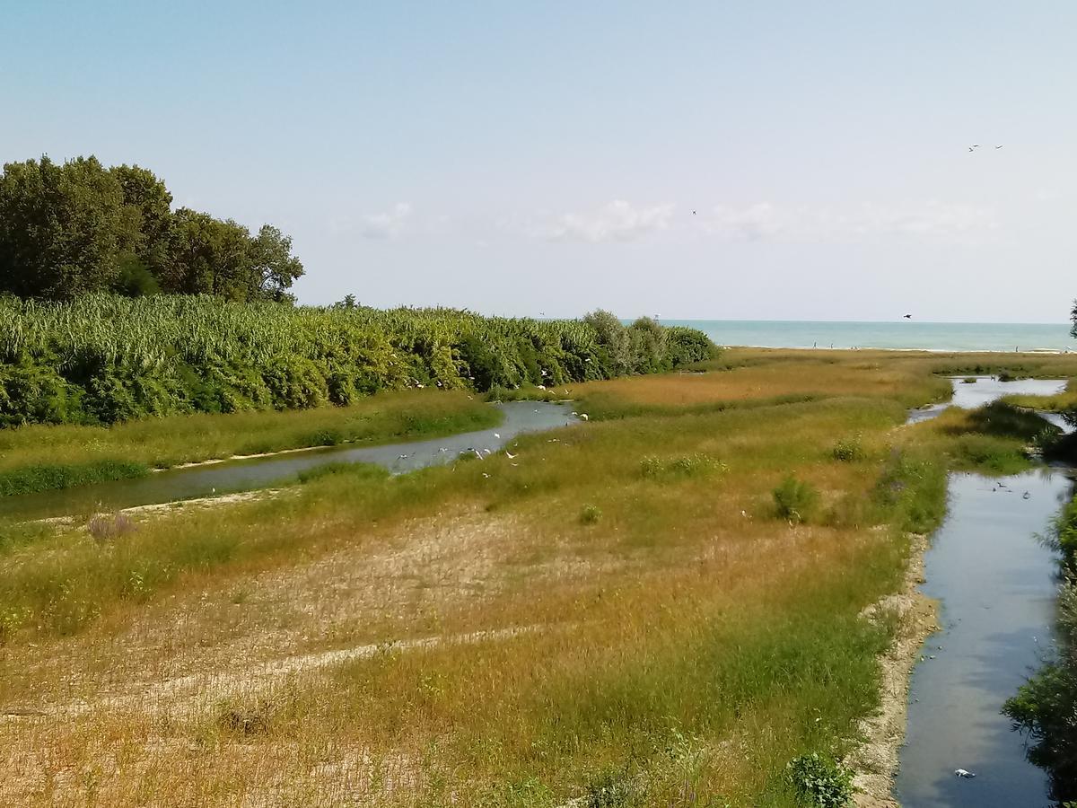 SantʼElpidio a MareResidenza Corso Baccioアパートメント エクステリア 写真