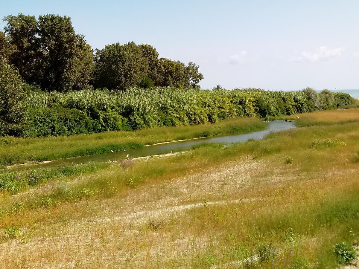 SantʼElpidio a MareResidenza Corso Baccioアパートメント エクステリア 写真